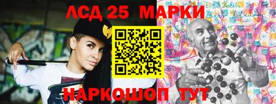 дурь Сланцы