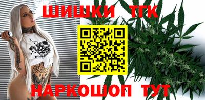 дмт Славгород
