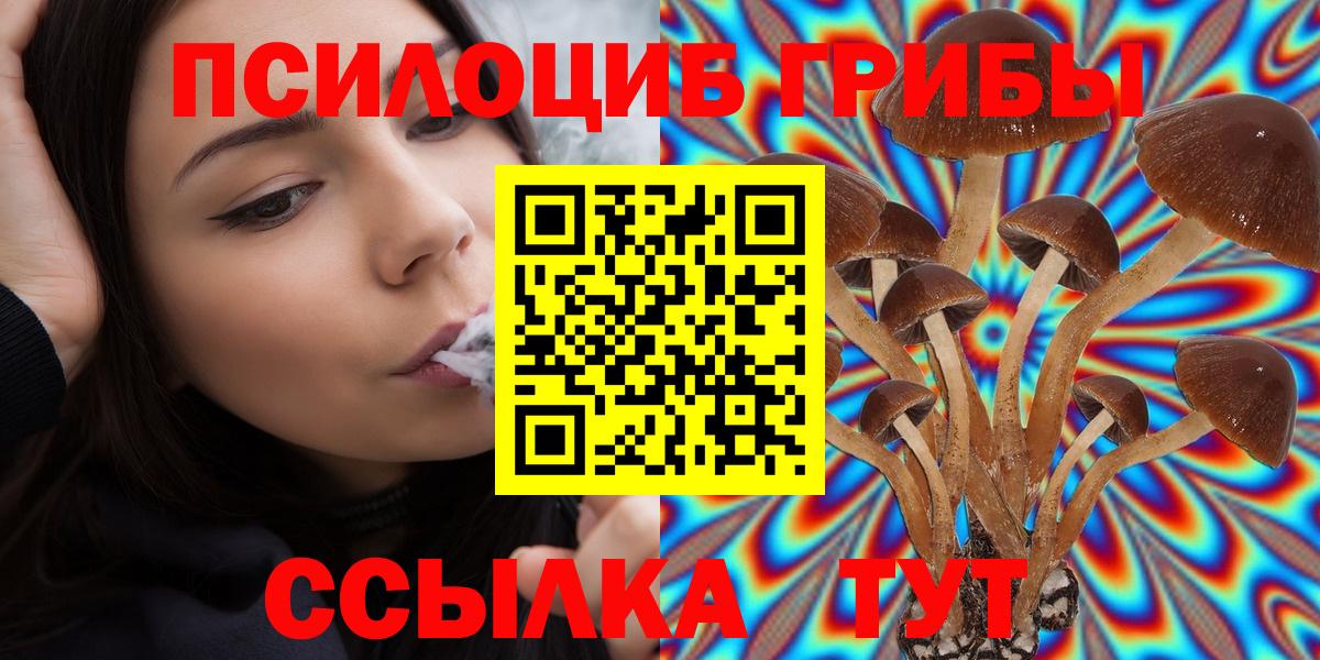 Псилоцибиновые грибы GOLDEN TEACHER Тимашёвск